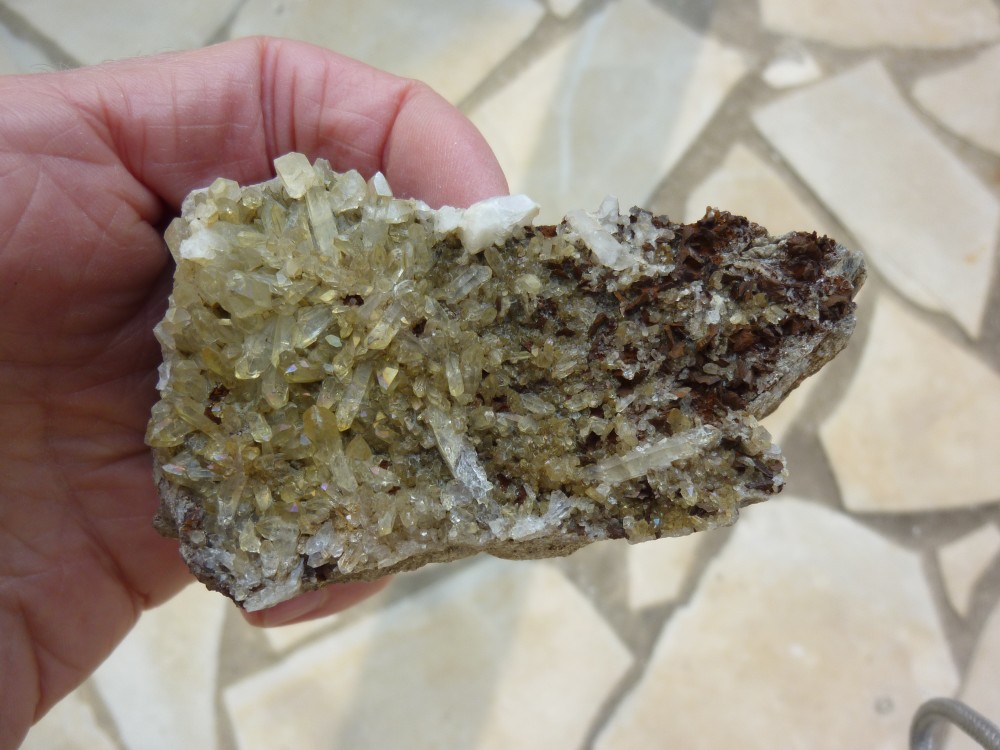 galerie des anglais.JPG