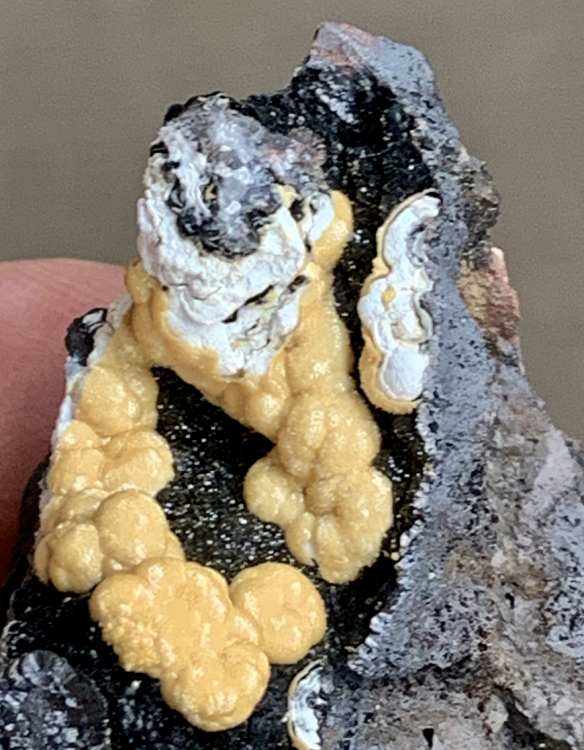 Capture d’écran 2020-08-24 à 23.58.30.png