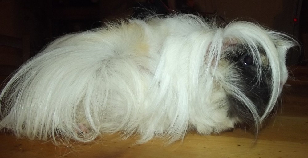 DSCF0291 hftersfdrsdf.jpg