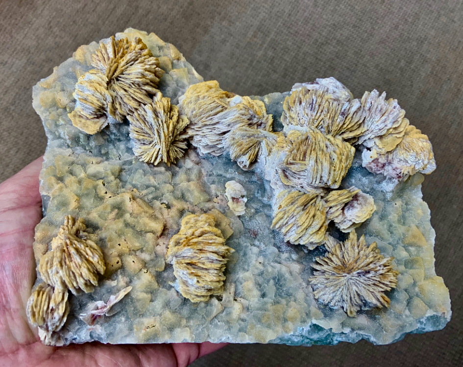 Capture d’écran 2020-12-19 à 21.57.35.png