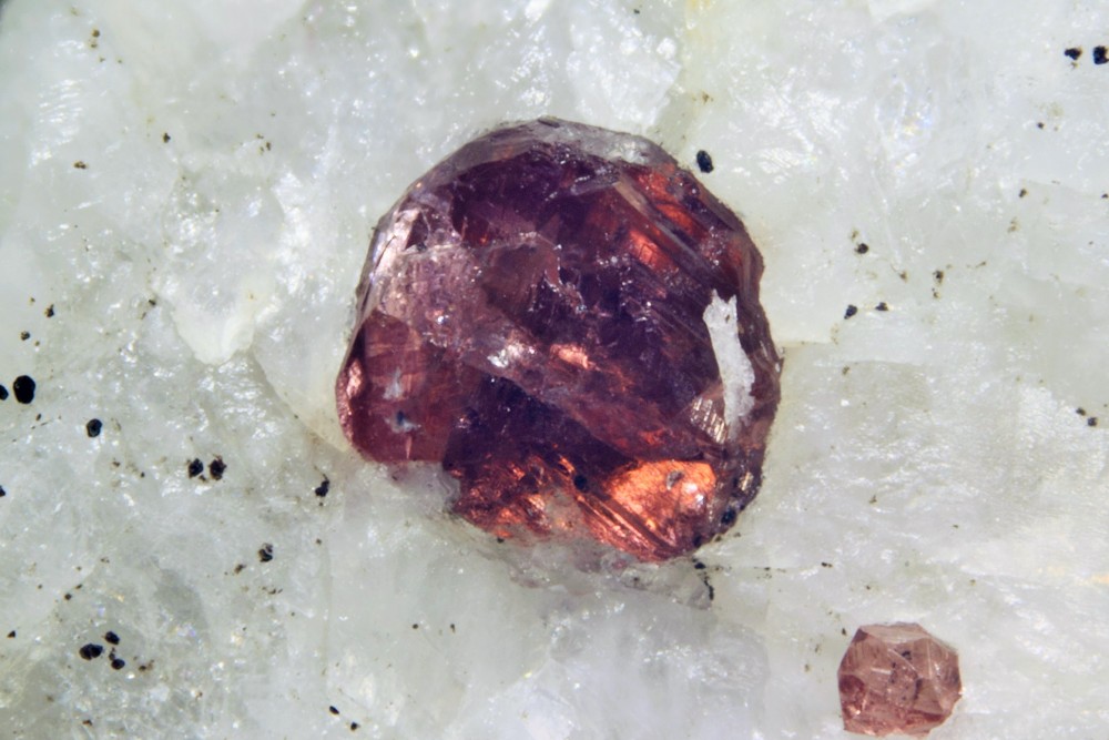 Grenat la Raviège 81 010 (3).jpg