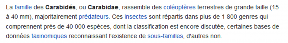 1944517270_Screenshot_2020-12-01CarabidaeWikipdia.thumb.png.e06c042c319528e45d4cb000692846d0.png