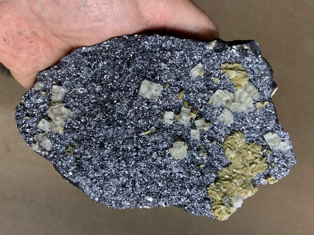 Capture d’écran 2020-08-28 à 12.06.07.png