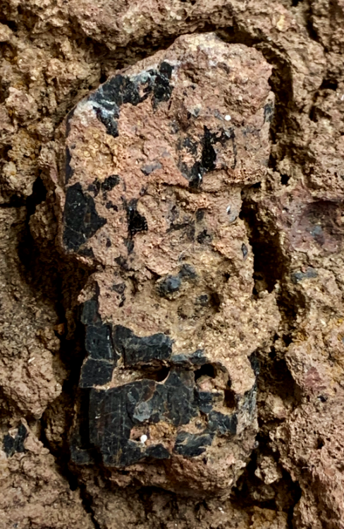 Capture d’écran 2020-12-19 à 20.00.48.png