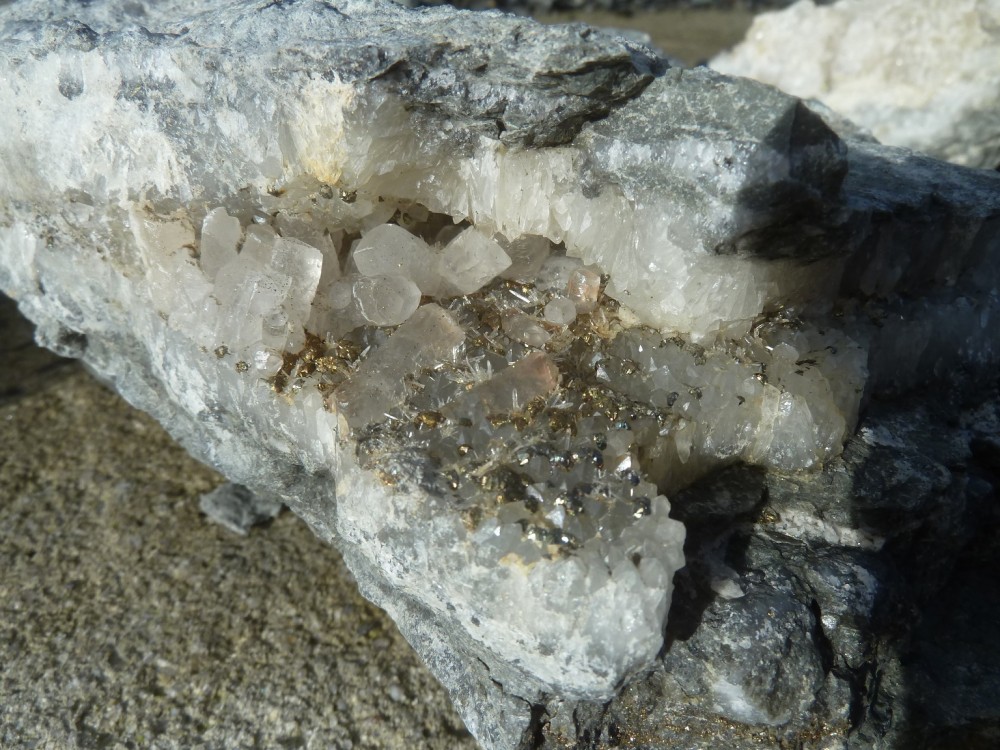 20-12-2020 (17) - .JPG