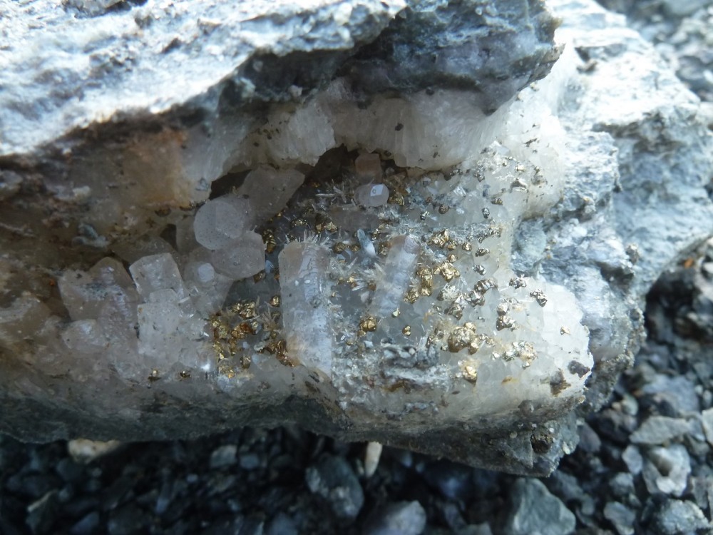 20-12-2020 (12) - .JPG