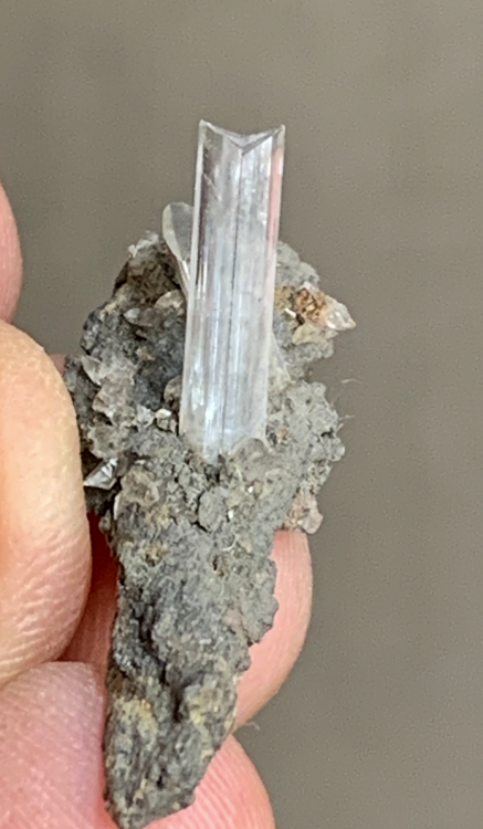 Capture d’écran 2020-08-24 à 13.16.33.png