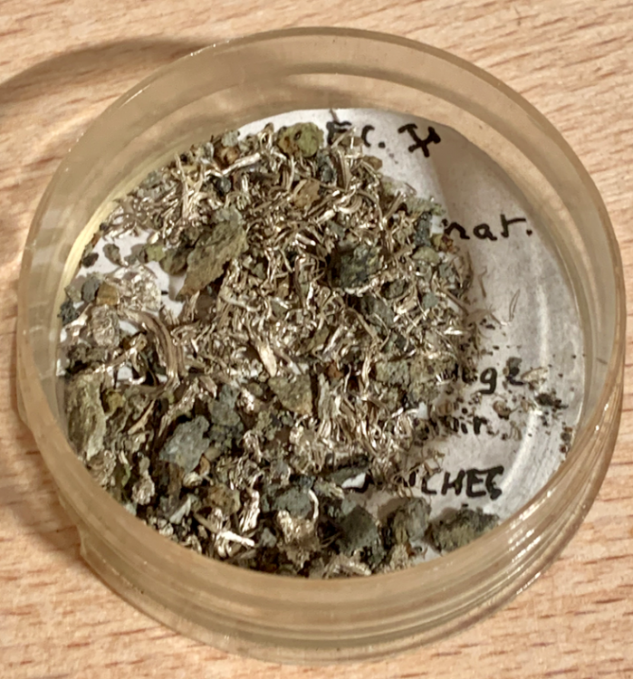 Capture d’écran 2020-12-22 à 19.26.16.png