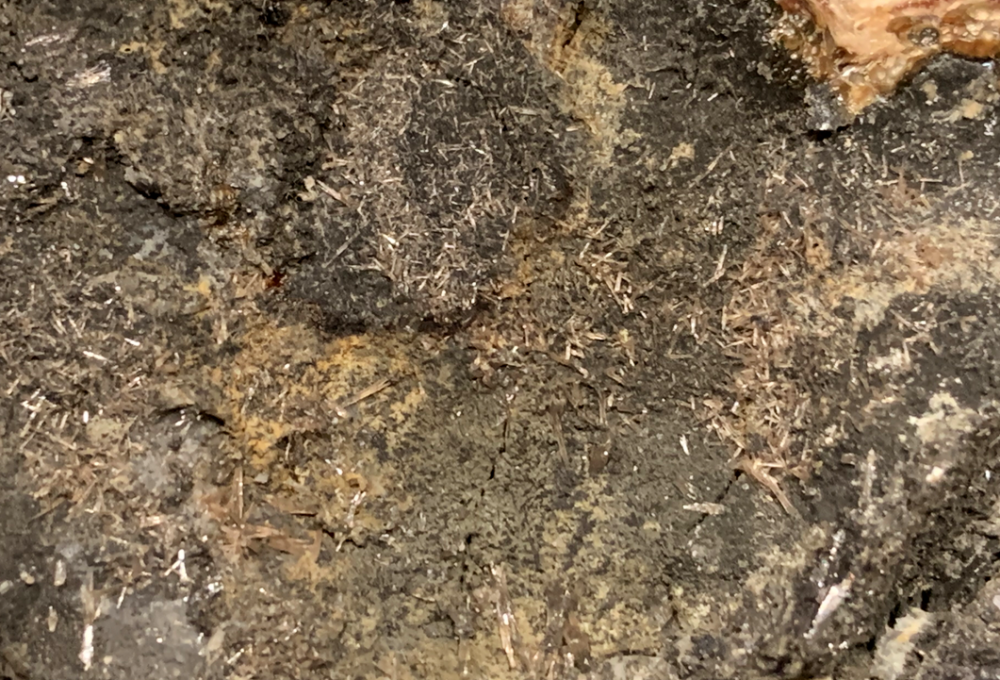 Capture d’écran 2020-12-27 à 12.35.51.png