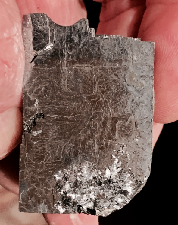 Capture d’écran 2020-12-27 à 13.38.06.png