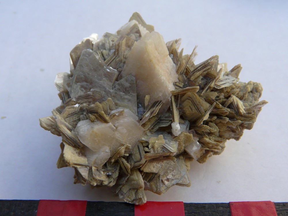 Photo 30186 - Copie.JPG