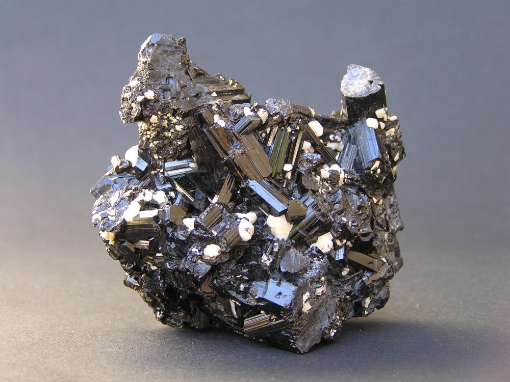 Photo 1204 - Copie.jpg