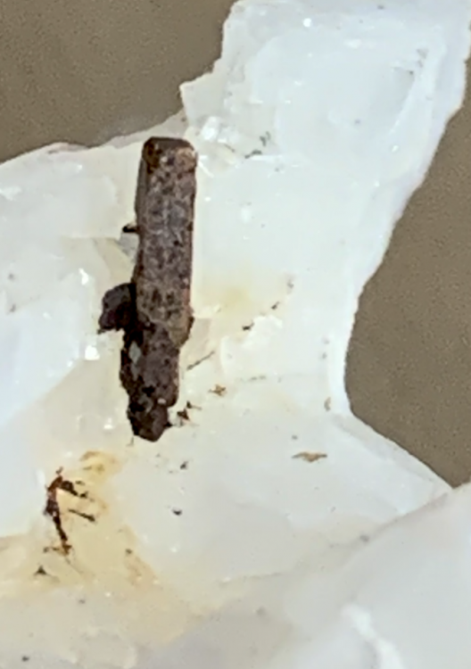 Capture d’écran 2021-01-21 à 00.41.17.png