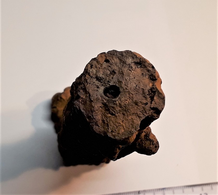 20210130_193925 (2).jpg