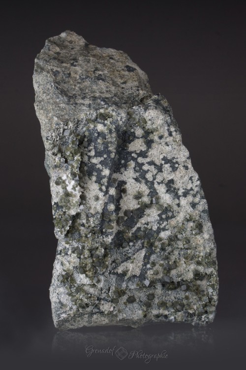 9x7cm porvieux.JPG