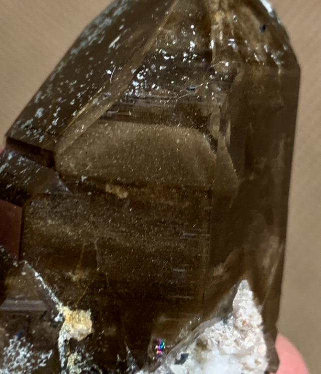 Capture d’écran 2021-01-16 à 22.33.06.png