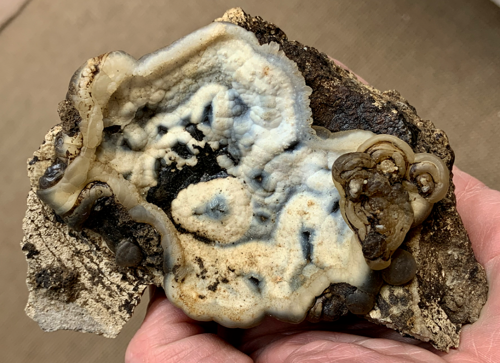 Capture d’écran 2021-01-12 à 19.07.18.png