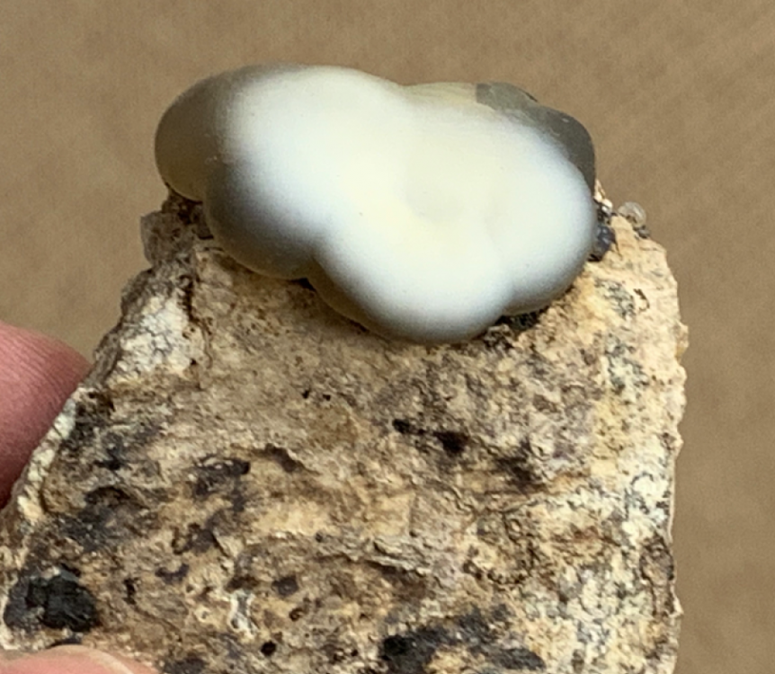 Capture d’écran 2021-01-12 à 19.06.50.png