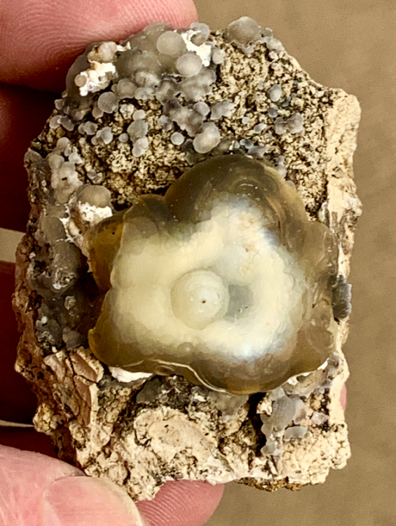 Capture d’écran 2021-01-12 à 19.02.20.png