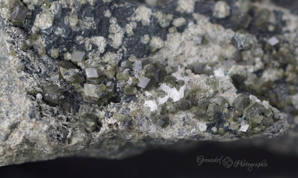 Fov 40mm porvieux.JPG