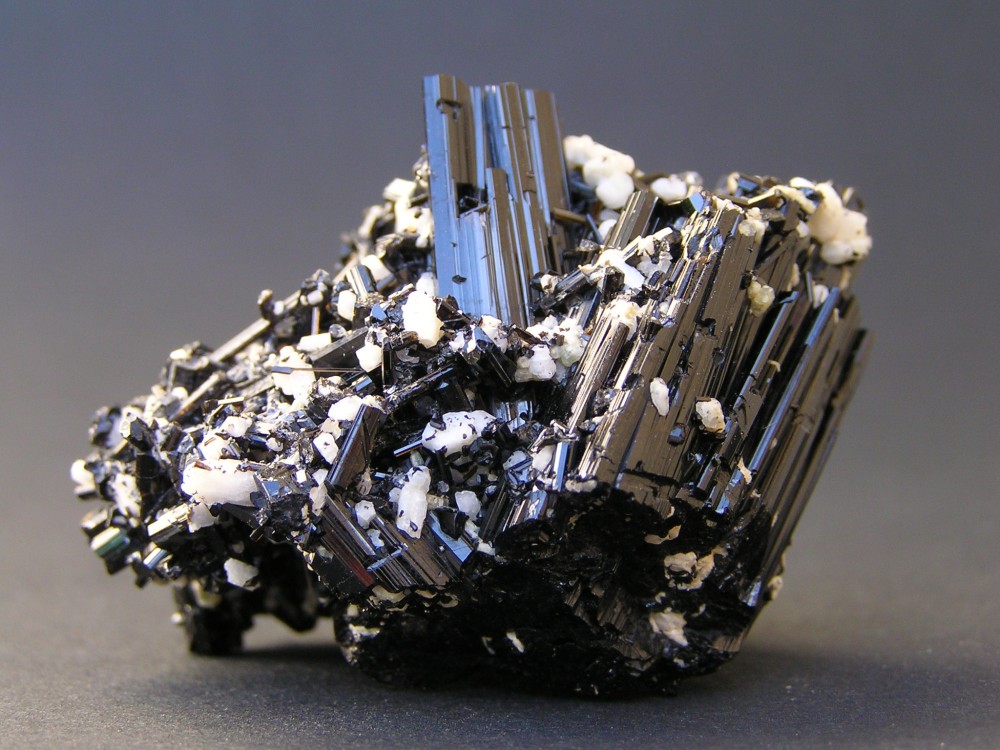 Photo 1262 - Copie (2).jpg