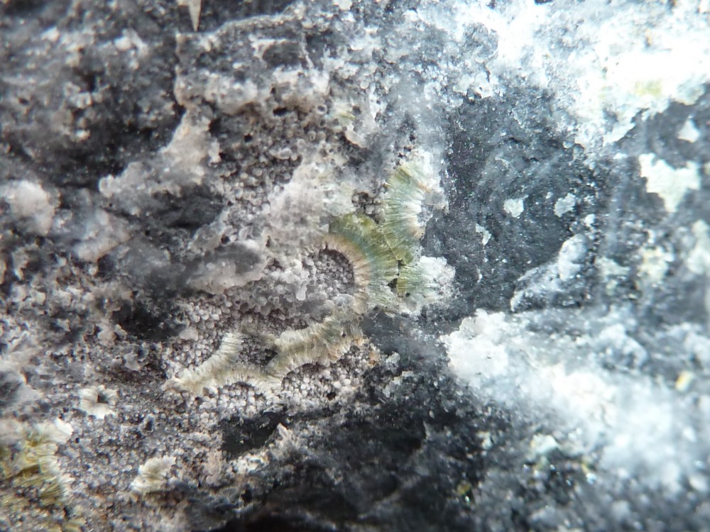 Minéraux Pannecé  (9) .JPG