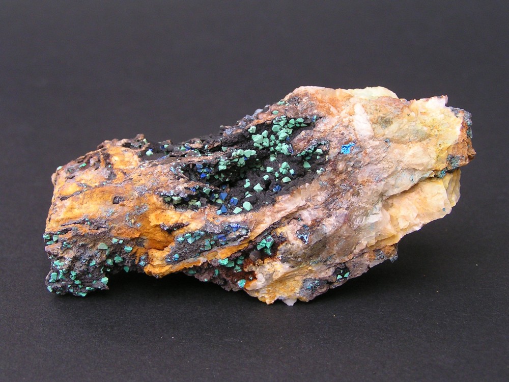 P9030019 - Copie.JPG