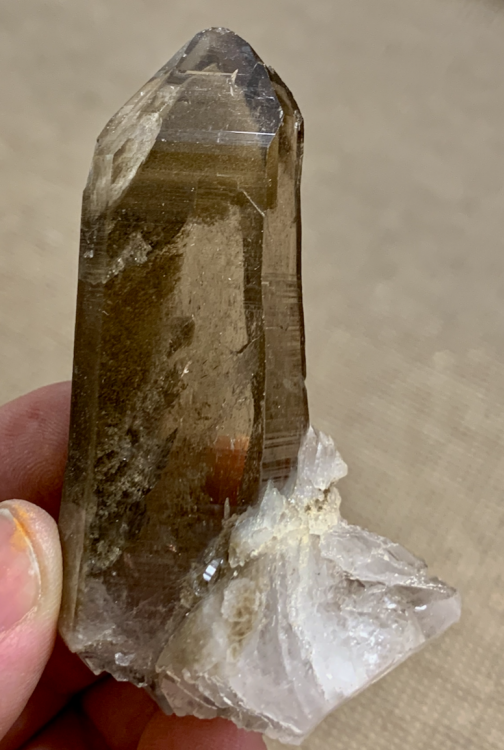 Capture d’écran 2021-01-21 à 22.34.30.png