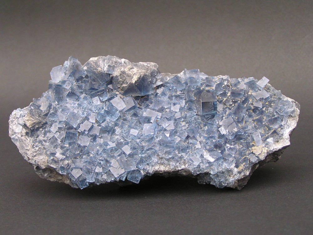 P9020109 - Copie.JPG