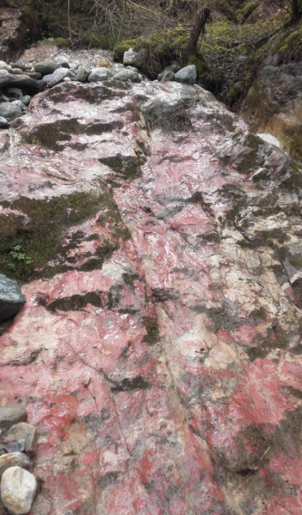 Screenshot 2021-01-08 at 15.11.23.png