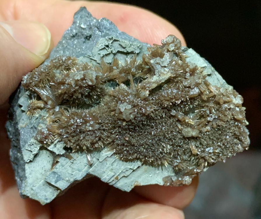 Capture d’écran 2021-01-11 à 23.02.59.png