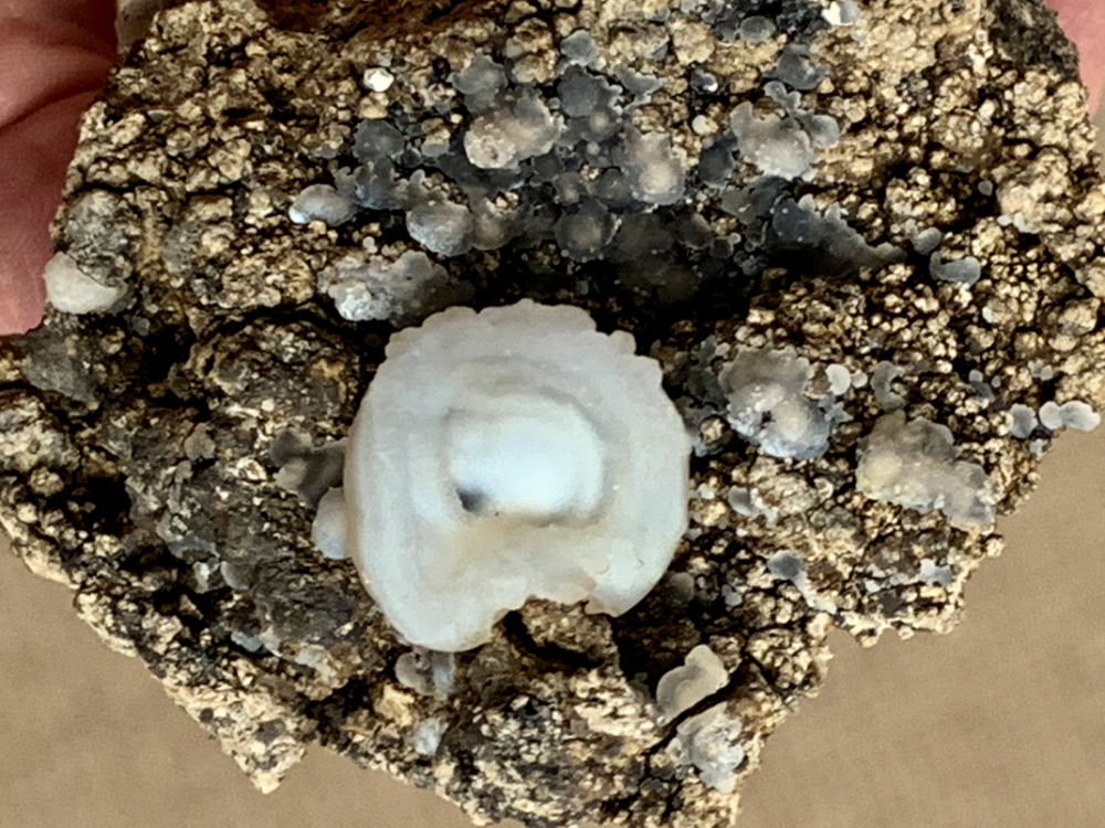 Capture d’écran 2021-01-12 à 19.03.22.png