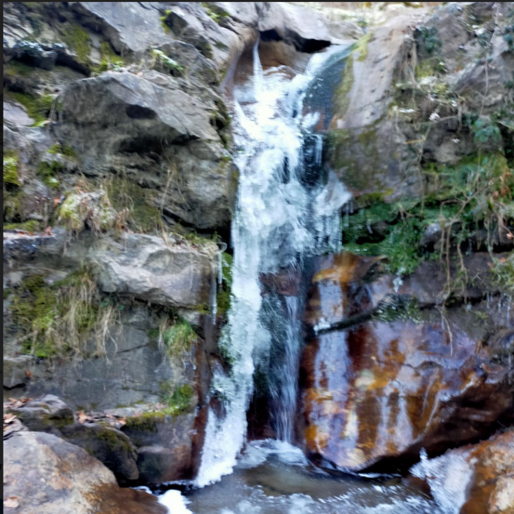 Screenshot 2021-01-08 at 15.09.36.png