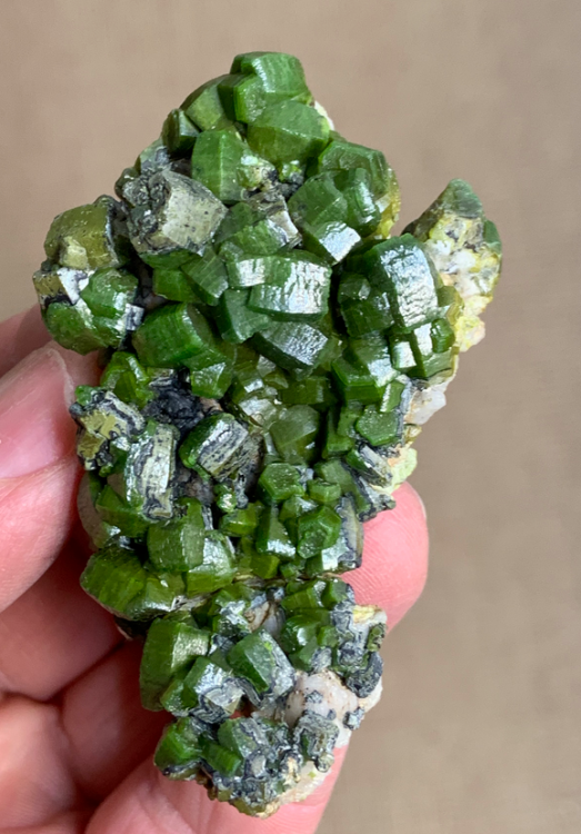 Capture d’écran 2021-01-29 à 23.03.11.png