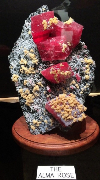 rhodocrosite-alma-rose-colorado.jpg