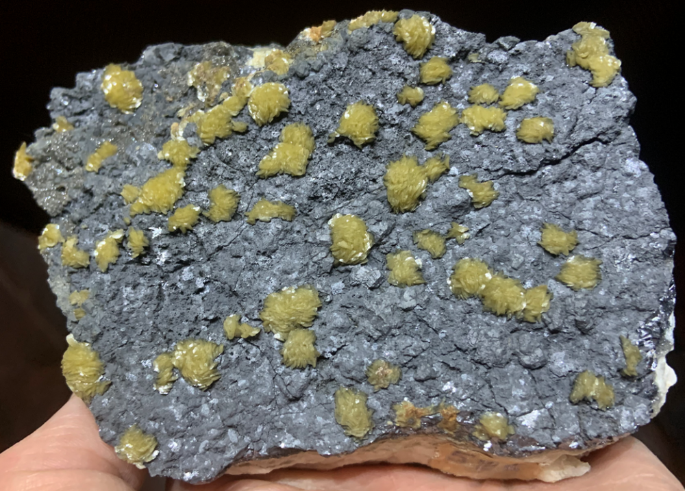 Capture d’écran 2021-02-27 à 00.08.44.png