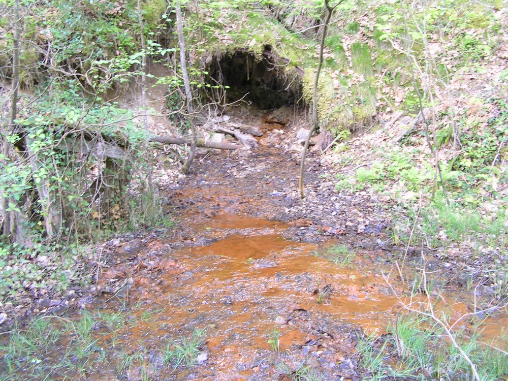 Photo 184 - Copie.jpg