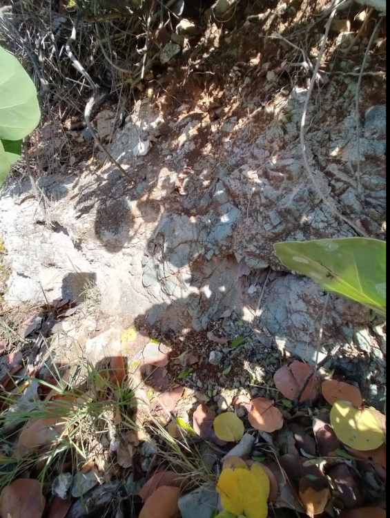 Screenshot 2021-02-07 at 13.22.47.png