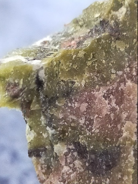 Screenshot 2021-02-09 at 16.54.13.png