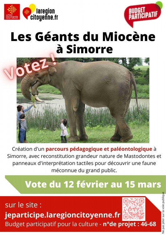 Flyer vote budget participatif Simorre.jpg