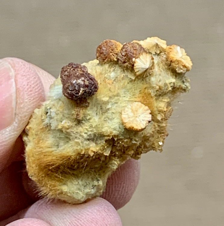 Capture d’écran 2021-02-17 à 13.24.12.png