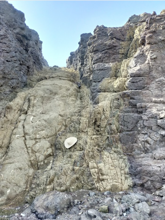 Screenshot 2021-02-12 at 14.50.26.png