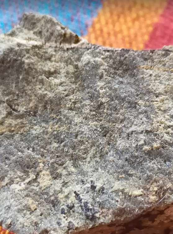 Screenshot 2021-02-12 at 15.34.09.png