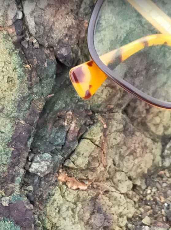 Screenshot 2021-02-12 at 14.49.03.png