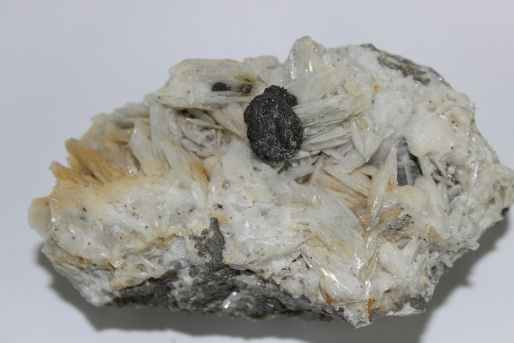 IMG_0768  10x6cm.JPG