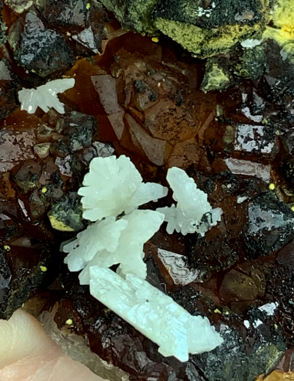 Capture d’écran 2021-01-29 à 22.57.12.png