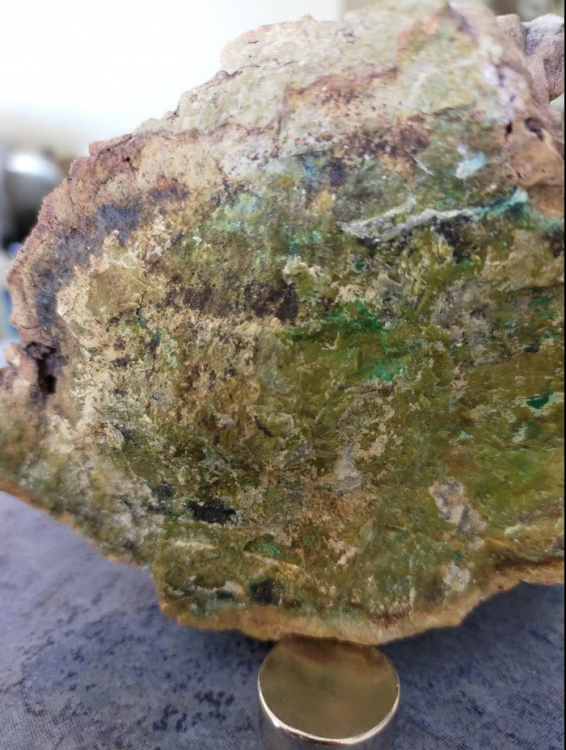 Screenshot 2021-02-09 at 15.53.02.png