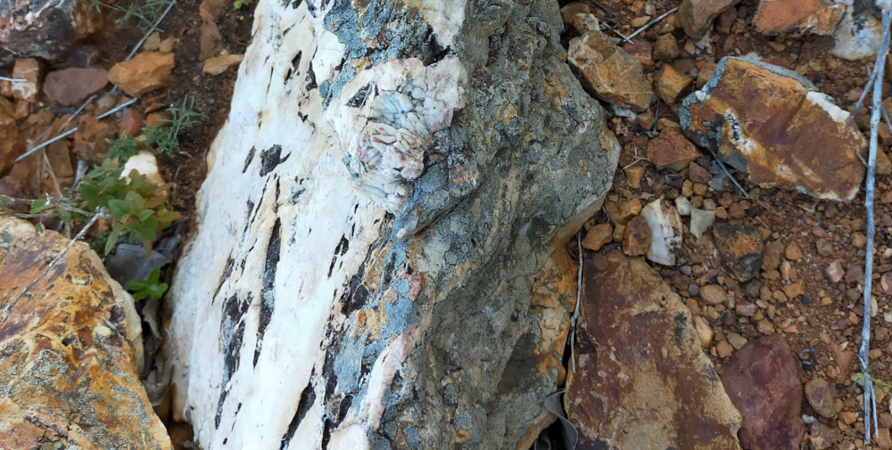 Screenshot 2021-02-06 at 10.53.55.png