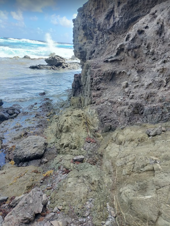 Screenshot 2021-02-12 at 14.51.33.png