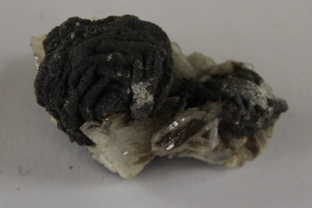 IMG_1228 (3) 2.5x1.5cm.JPG